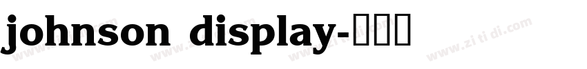 johnson display字体转换